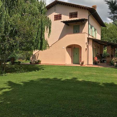 Villa Favilli ปิซา ภายนอก รูปภาพ