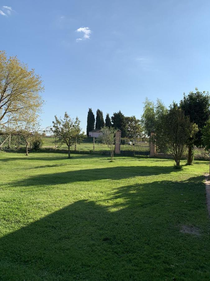Villa Favilli ปิซา ภายนอก รูปภาพ
