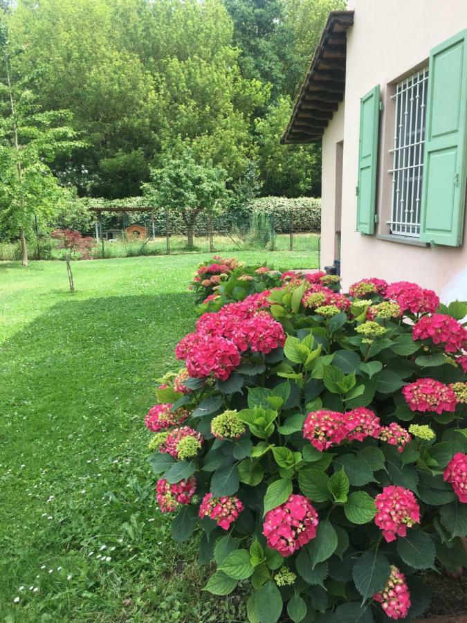 Villa Favilli ปิซา ภายนอก รูปภาพ